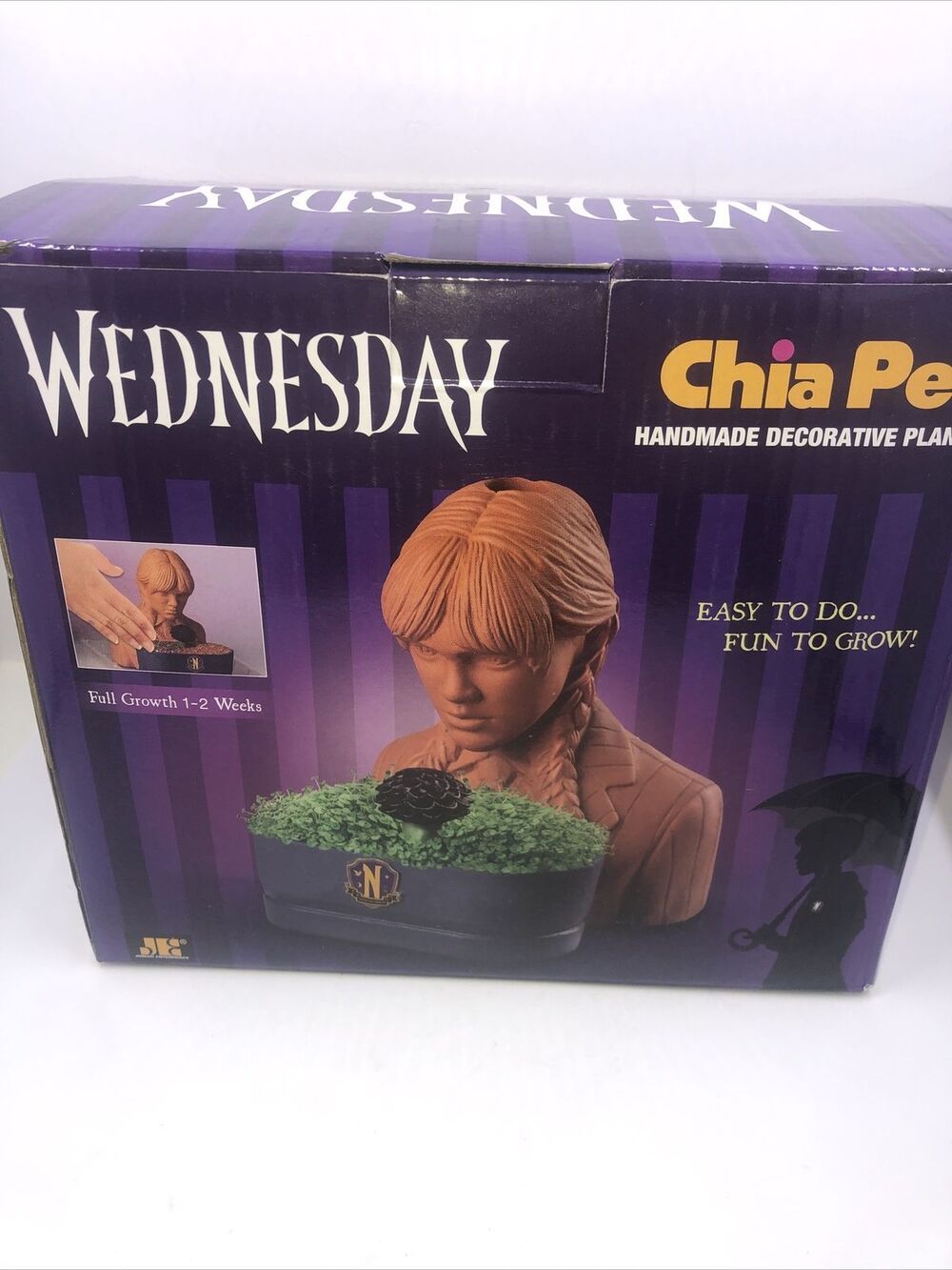 Wednesday Addams Chia Pet Handmade Decorative Planter  Addams Family, Open Box